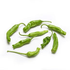 Organic Shishito Peppers