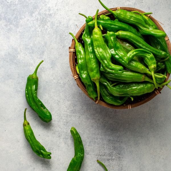 Organic Shishito Peppers