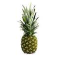 Organic Pineapples