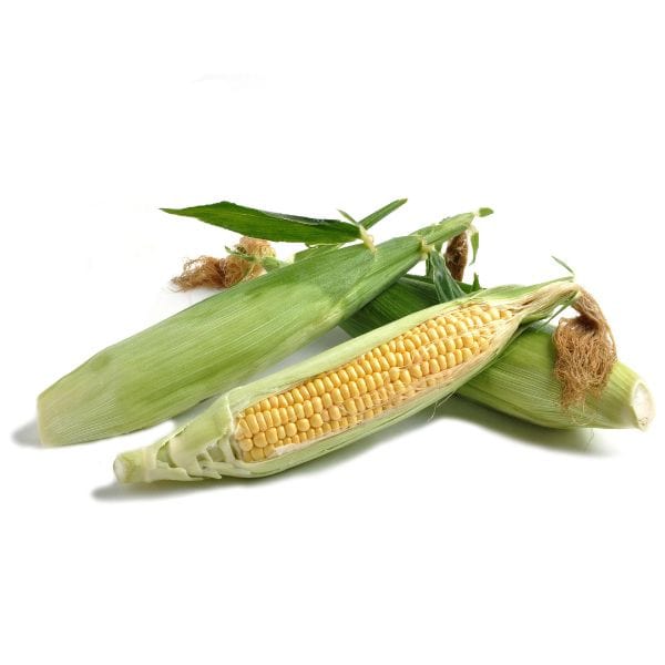 Organic Corn