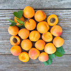 Organic Apricots (Frog Hollow Farms)