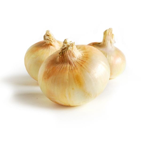 Organic Sweet Onions