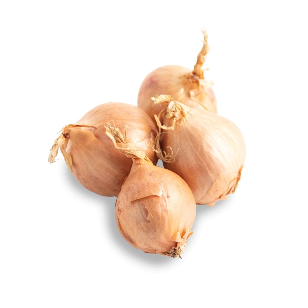 Organic Shallots