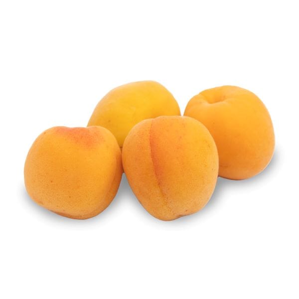 Organic Apricots