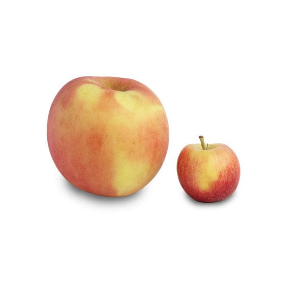 Organic Crimson Gold Apples