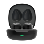 Fitness Earbuds