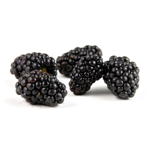 Organic Blackberries