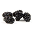 Organic Blackberries