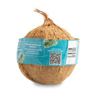 Organic Brown Coconuts