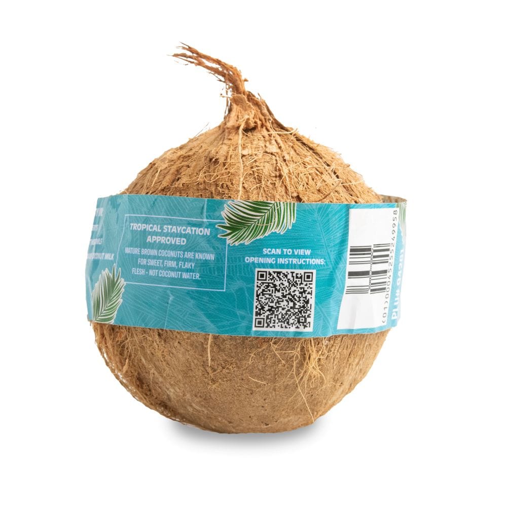 Organic Brown Coconuts