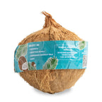 Organic Brown Coconuts