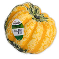 Organic Carnival Squash