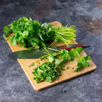 Organic Cilantro