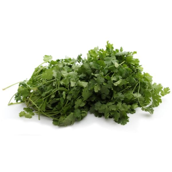 Organic Cilantro