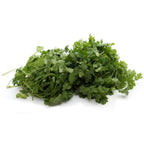 Organic Cilantro