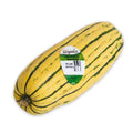 Organic Delicata Squash