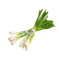 Organic Green Onions