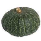 Organic Kabocha Squash