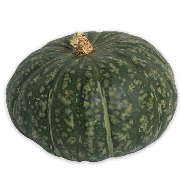 Organic Kabocha Squash