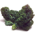 Organic Kale