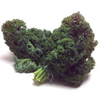 Organic Kale
