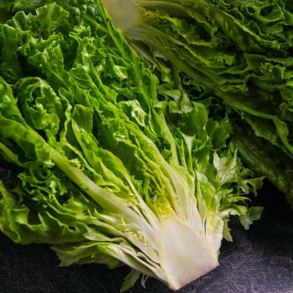 Organic Leaf Lettuce