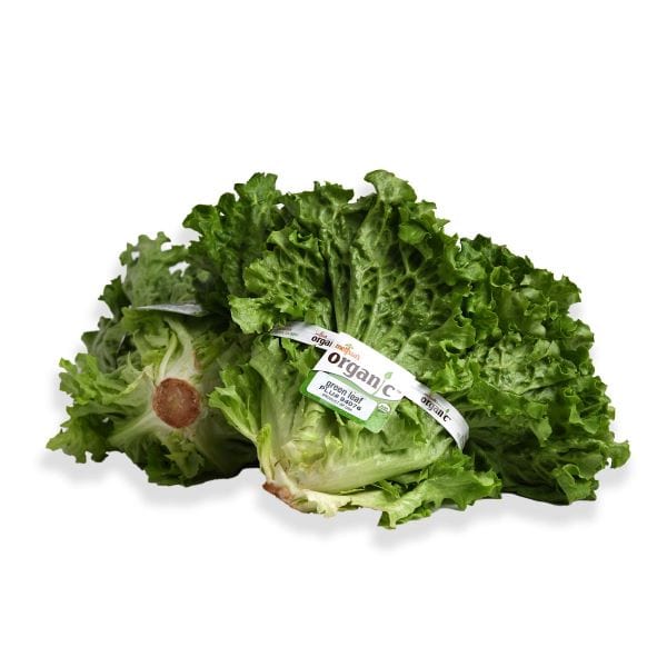 Organic Leaf Lettuce