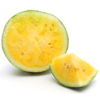 Organic Mini Yellow Seedless Watermelons