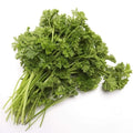 Organic Parsley