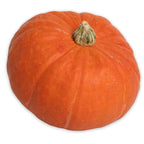 Organic Red Kuri Squash