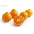 Organic Tangerines
