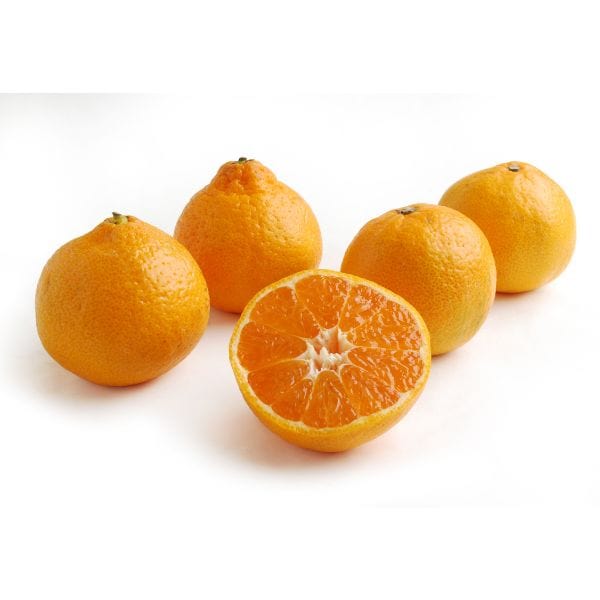Organic Tangerines