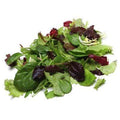 Organic Spring Mix