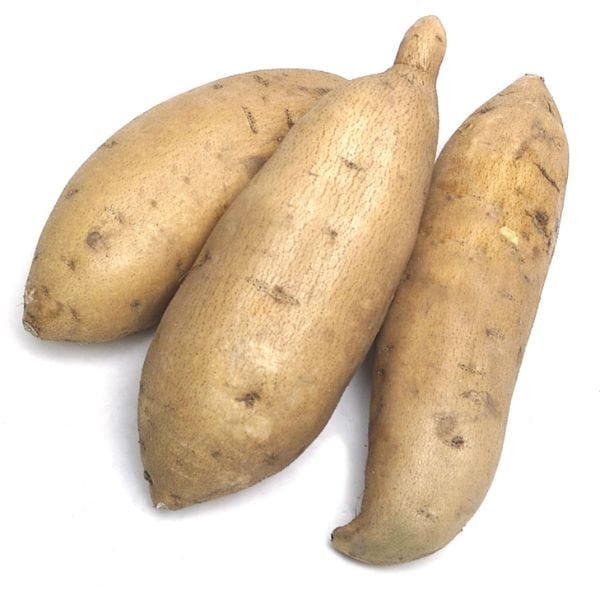 Organic Sweet Potatoes